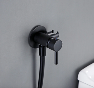 Bathroom Bidet sprayer with Concealed Mixer